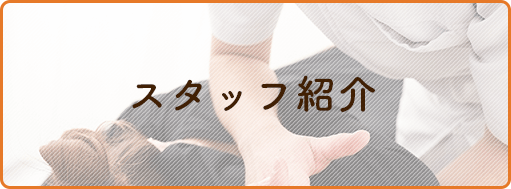 スタッフ紹介